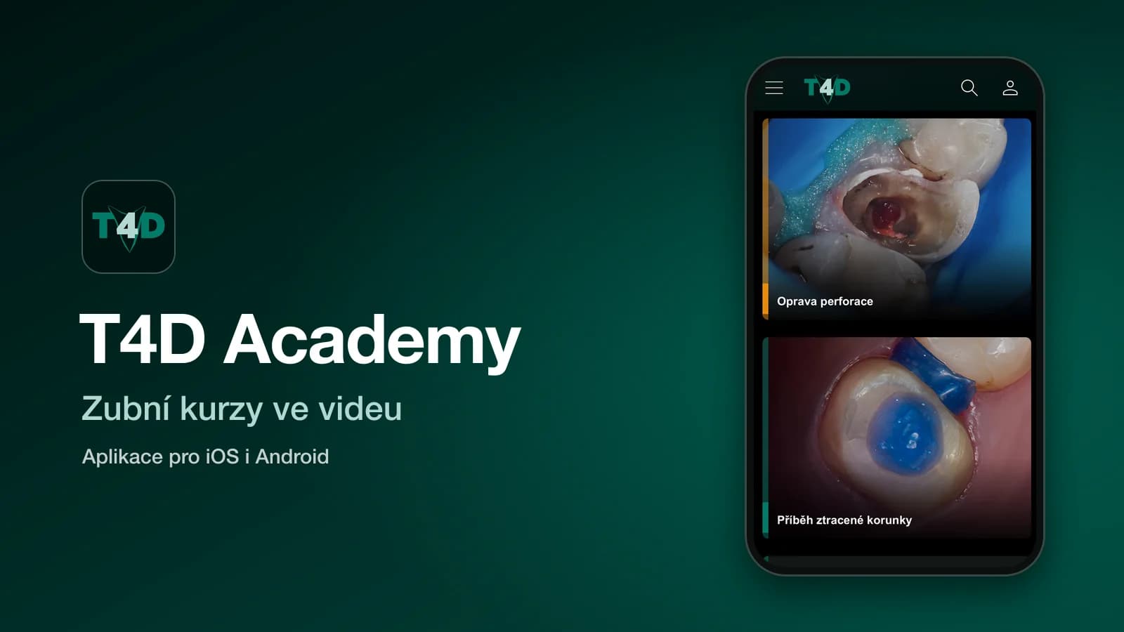 T4D Academy — náhled projektu